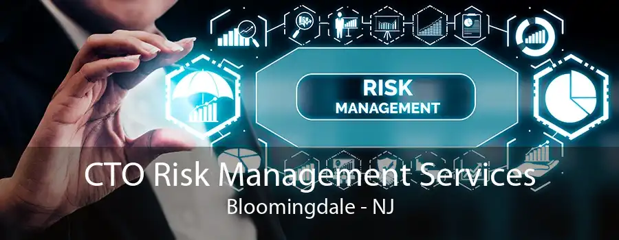 CTO Risk Management Services Bloomingdale - NJ