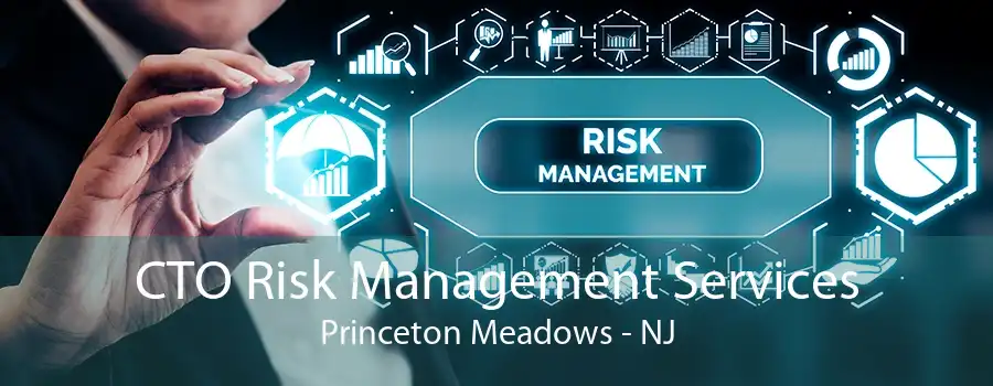 CTO Risk Management Services Princeton Meadows - NJ