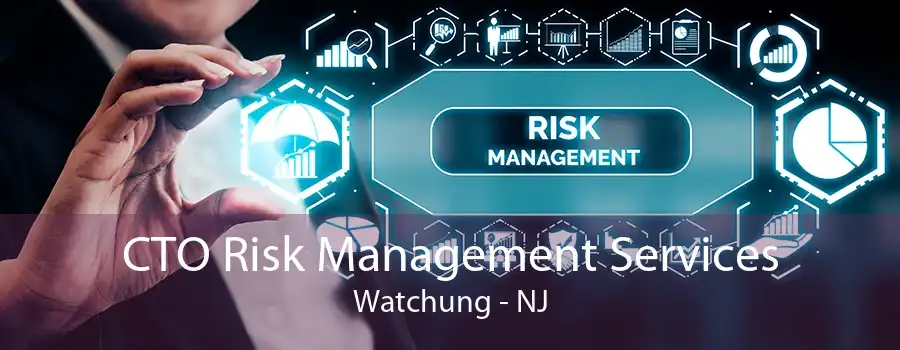 CTO Risk Management Services Watchung - NJ