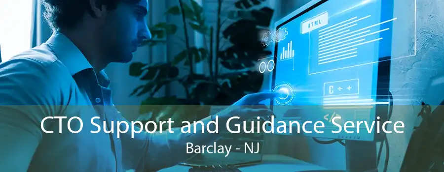 CTO Support and Guidance Service Barclay - NJ