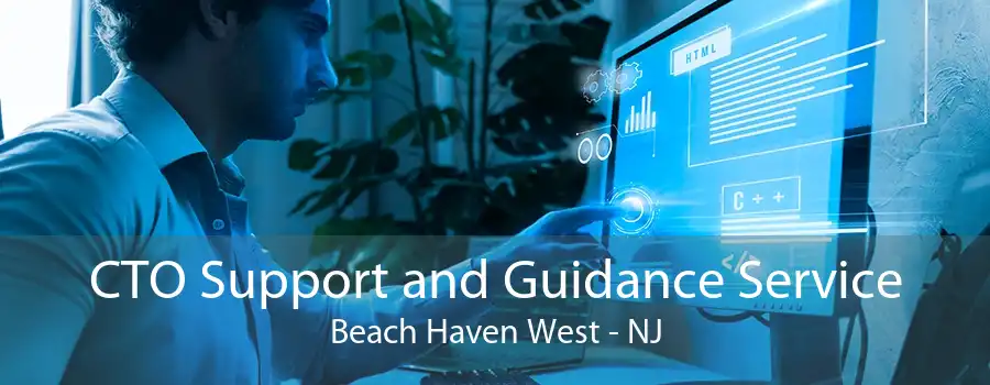 CTO Support and Guidance Service Beach Haven West - NJ