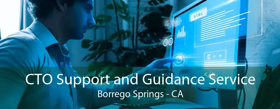 CTO Support and Guidance Service Borrego Springs - CA