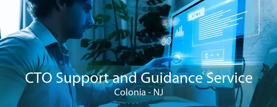 CTO Support and Guidance Service Colonia - NJ