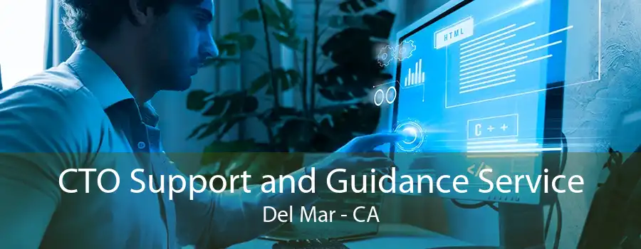 CTO Support and Guidance Service Del Mar - CA