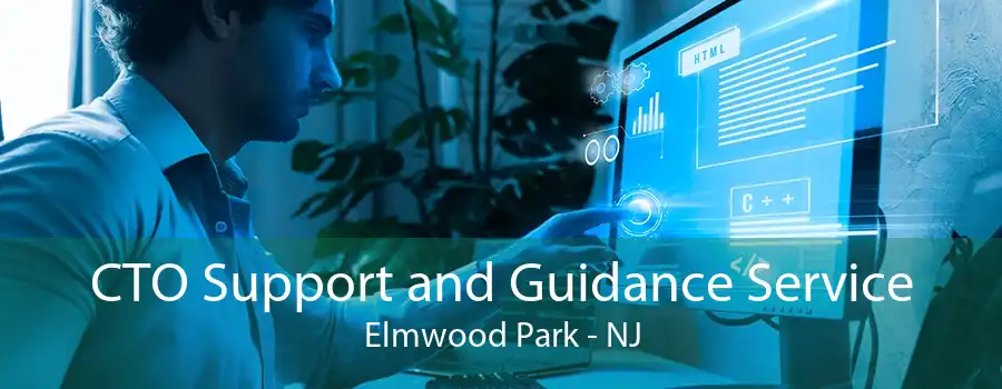 CTO Support and Guidance Service Elmwood Park - NJ