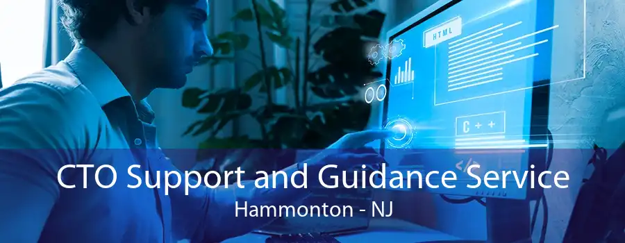 CTO Support and Guidance Service Hammonton - NJ