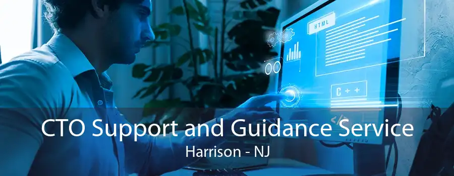 CTO Support and Guidance Service Harrison - NJ