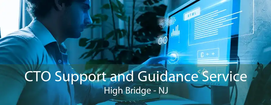 CTO Support and Guidance Service High Bridge - NJ