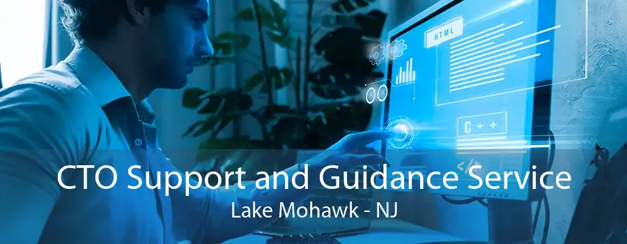 CTO Support and Guidance Service Lake Mohawk - NJ