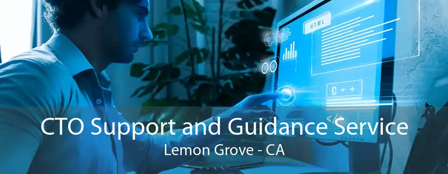 CTO Support and Guidance Service Lemon Grove - CA