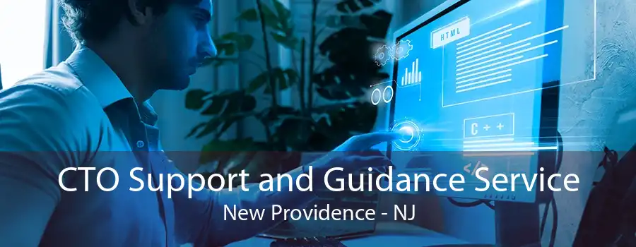 CTO Support and Guidance Service New Providence - NJ