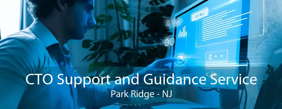 CTO Support and Guidance Service Park Ridge - NJ