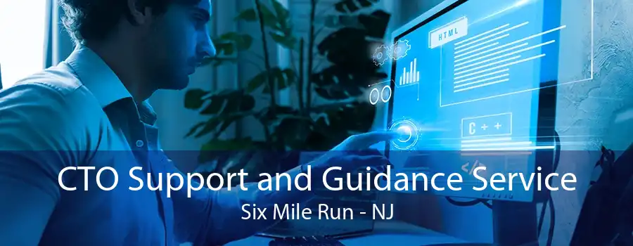 CTO Support and Guidance Service Six Mile Run - NJ