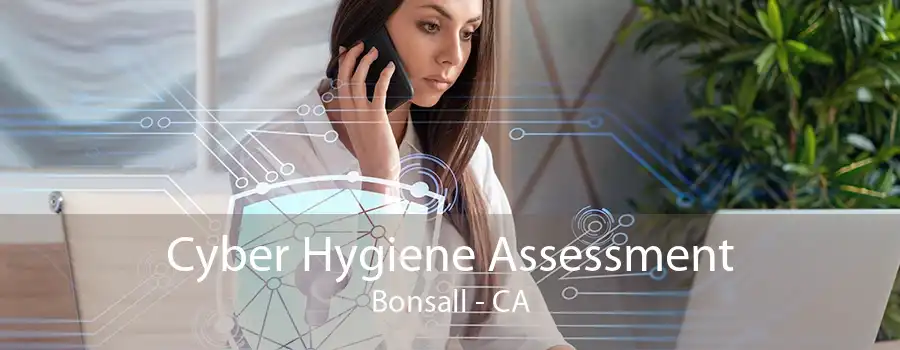 Cyber Hygiene Assessment Bonsall - CA