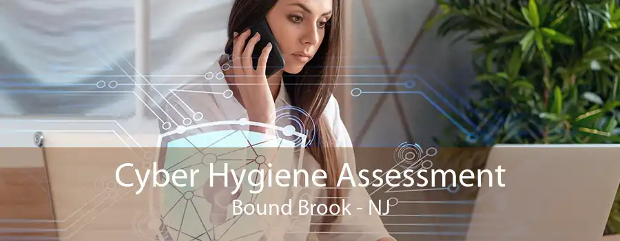 Cyber Hygiene Assessment Bound Brook - NJ