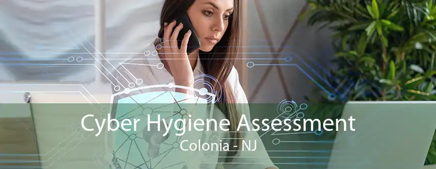 Cyber Hygiene Assessment Colonia - NJ