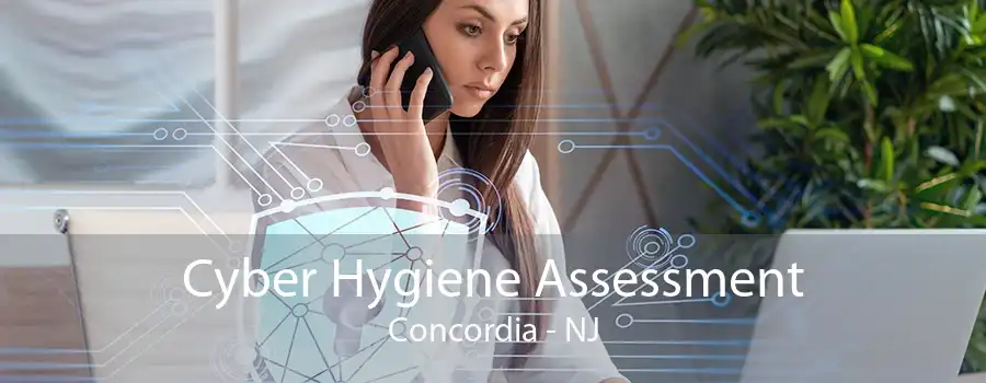 Cyber Hygiene Assessment Concordia - NJ