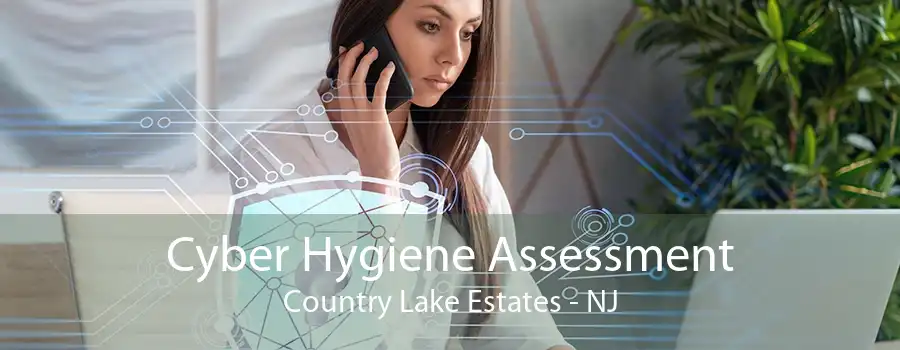 Cyber Hygiene Assessment Country Lake Estates - NJ