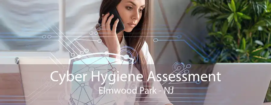 Cyber Hygiene Assessment Elmwood Park - NJ