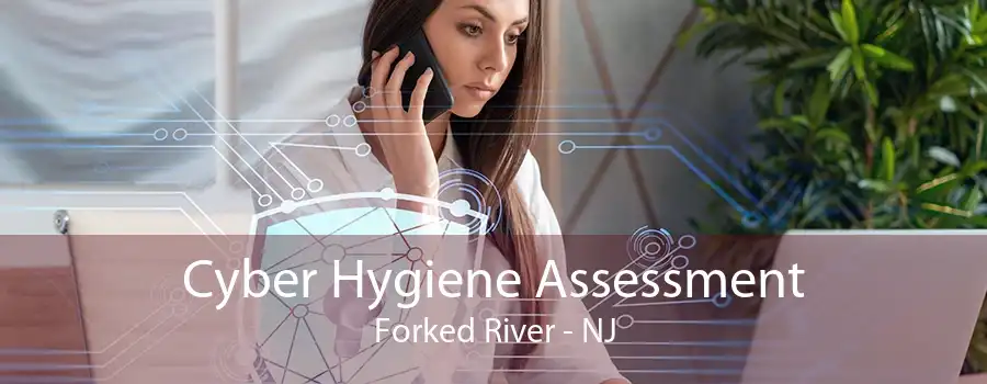 Cyber Hygiene Assessment Forked River - NJ