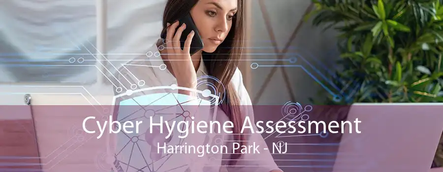 Cyber Hygiene Assessment Harrington Park - NJ