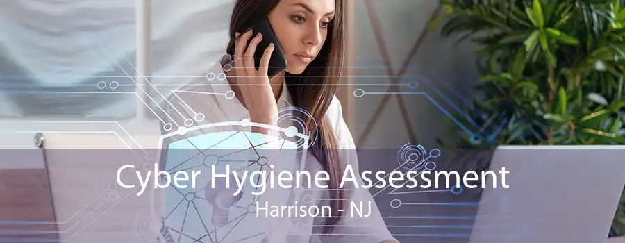 Cyber Hygiene Assessment Harrison - NJ