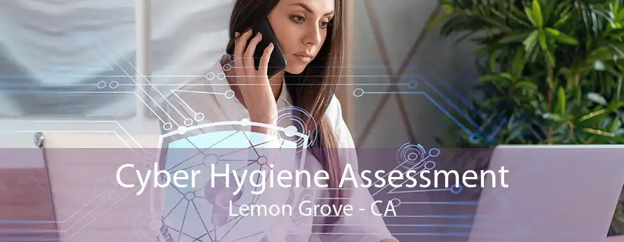 Cyber Hygiene Assessment Lemon Grove - CA