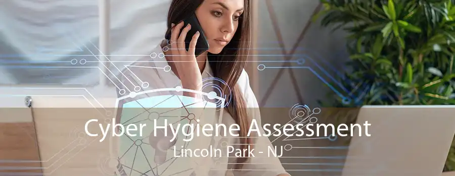 Cyber Hygiene Assessment Lincoln Park - NJ