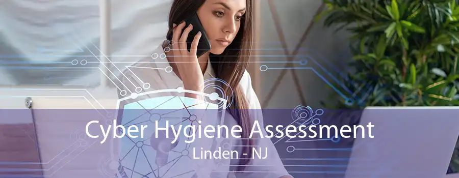 Cyber Hygiene Assessment Linden - NJ