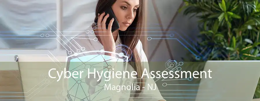 Cyber Hygiene Assessment Magnolia - NJ