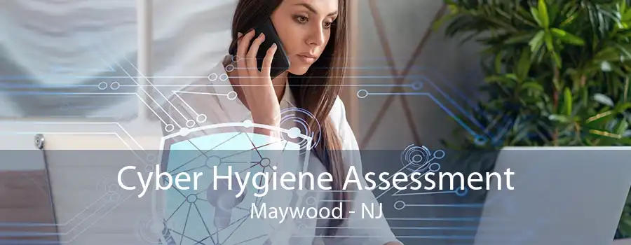 Cyber Hygiene Assessment Maywood - NJ