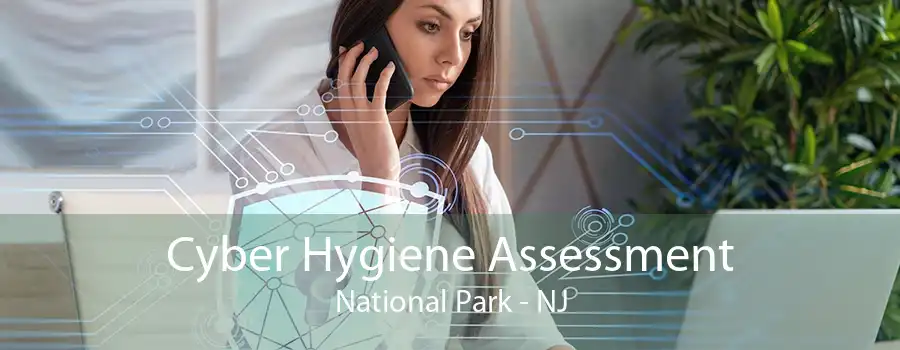 Cyber Hygiene Assessment National Park - NJ