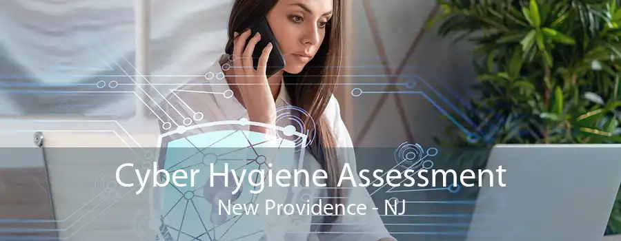 Cyber Hygiene Assessment New Providence - NJ