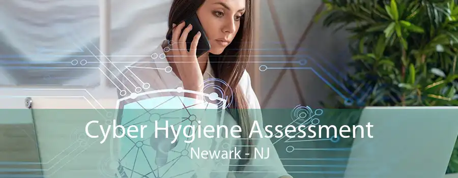 Cyber Hygiene Assessment Newark - NJ