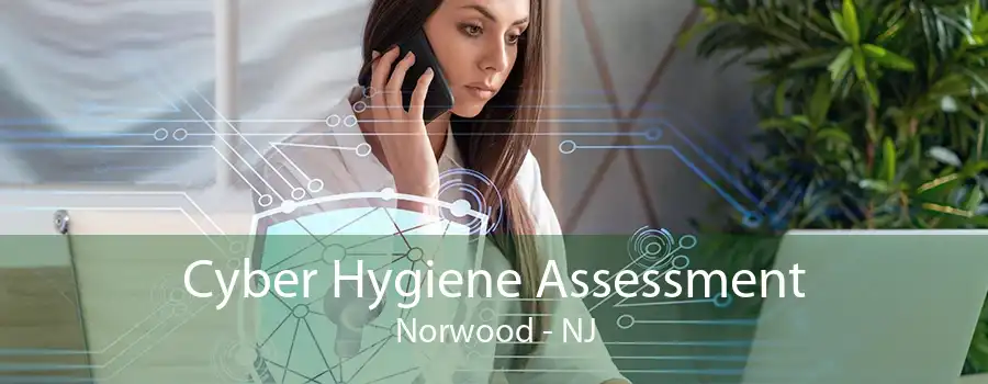 Cyber Hygiene Assessment Norwood - NJ