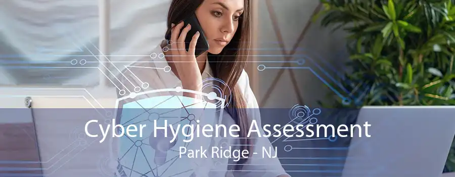 Cyber Hygiene Assessment Park Ridge - NJ