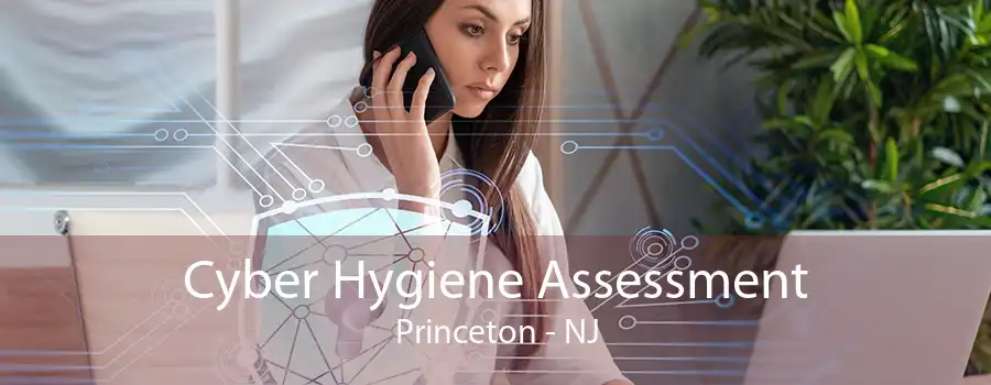 Cyber Hygiene Assessment Princeton - NJ