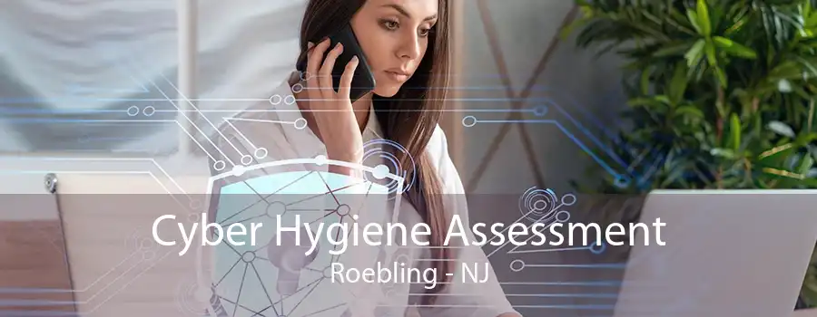 Cyber Hygiene Assessment Roebling - NJ