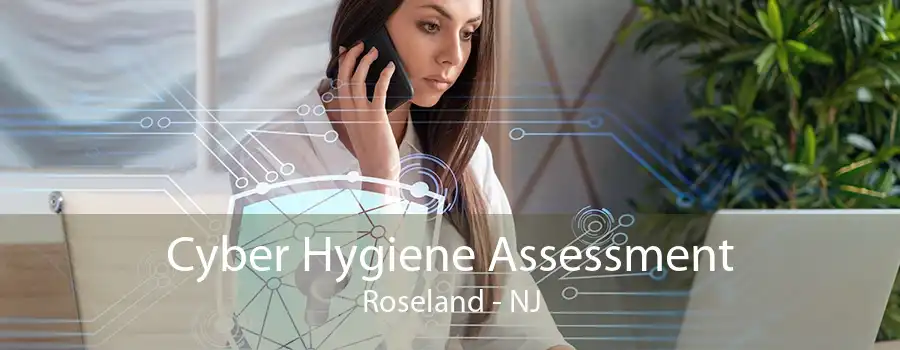 Cyber Hygiene Assessment Roseland - NJ