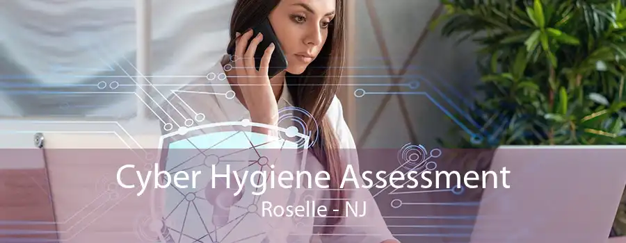 Cyber Hygiene Assessment Roselle - NJ