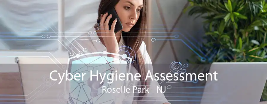 Cyber Hygiene Assessment Roselle Park - NJ