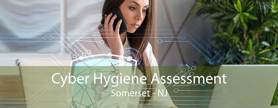 Cyber Hygiene Assessment Somerset - NJ