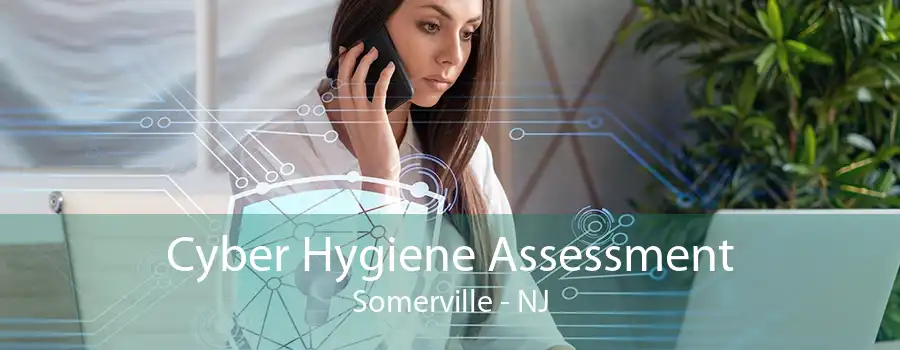 Cyber Hygiene Assessment Somerville - NJ