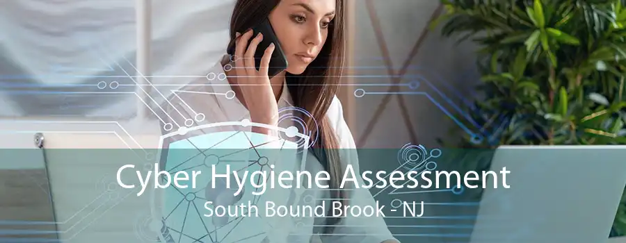 Cyber Hygiene Assessment South Bound Brook - NJ