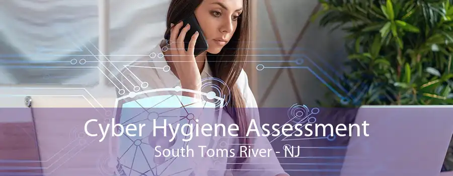 Cyber Hygiene Assessment South Toms River - NJ