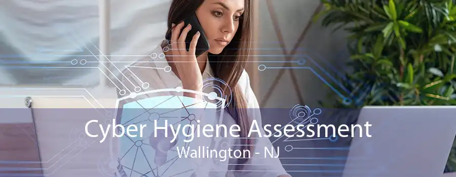Cyber Hygiene Assessment Wallington - NJ