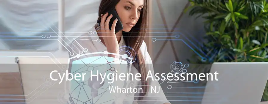 Cyber Hygiene Assessment Wharton - NJ