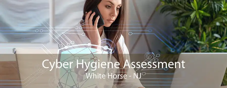 Cyber Hygiene Assessment White Horse - NJ