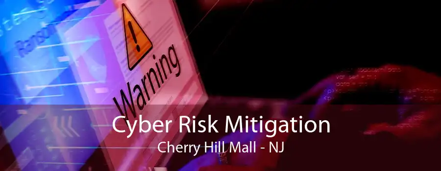 Cyber Risk Mitigation Cherry Hill Mall - NJ