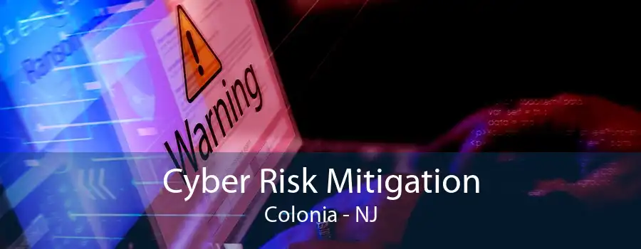 Cyber Risk Mitigation Colonia - NJ